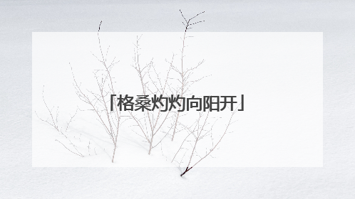 格桑灼灼向阳开