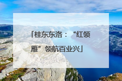 桂东东洛：“红领雁”领航百业兴