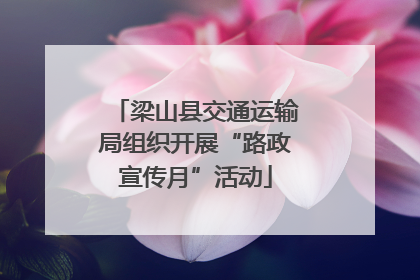 梁山县交通运输局组织开展“路政宣传月”活动