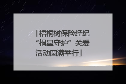 梧桐树保险经纪“桐星守护”关爱活动圆满举行