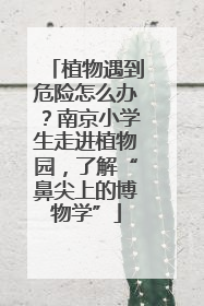 植物遇到危险怎么办？南京小学生走进植物园，了解“鼻尖上的博物学”