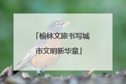 榆林文旅书写城市文明新华章