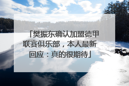 樊振东确认加盟德甲联赛俱乐部，本人最新回应：真的很期待