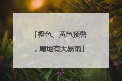 橙色、黄色预警，局地有大暴雨