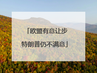 欧盟有意让步 特朗普仍不满意