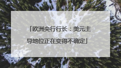 欧洲央行行长：美元主导地位正在变得不确定