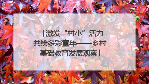激发“村小”活力 共绘多彩童年——乡村基础教育发展观察