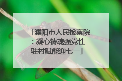 濮阳市人民检察院：凝心铸魂强党性 驻村赋能迎七一