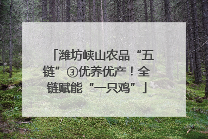 潍坊峡山农品“五链”③优养优产！全链赋能“一只鸡”
