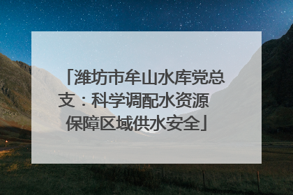 潍坊市牟山水库党总支：科学调配水资源 保障区域供水安全