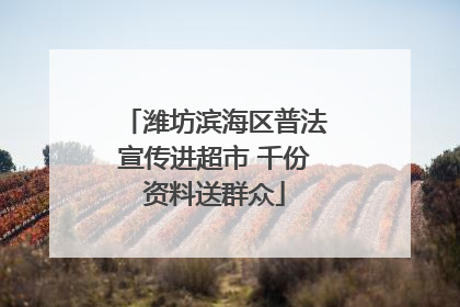 潍坊滨海区普法宣传进超市 千份资料送群众