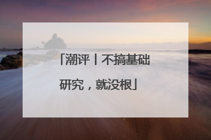 潮评丨不搞基础研究，就没根