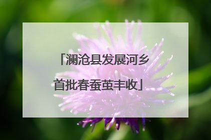 澜沧县发展河乡首批春蚕茧丰收