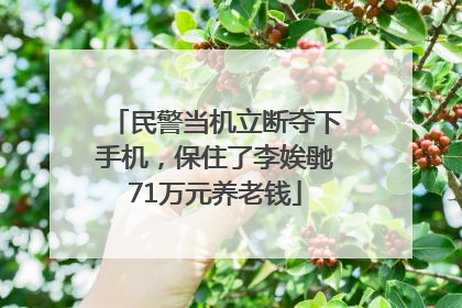 民警当机立断夺下手机，保住了李娭毑71万元养老钱