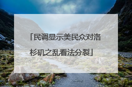 民调显示美民众对洛杉矶之乱看法分裂