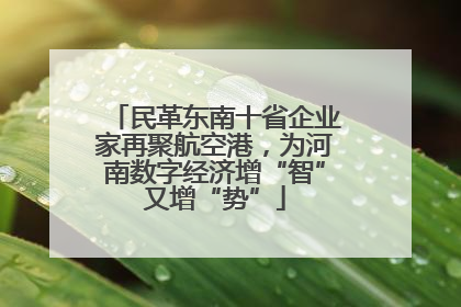 民革东南十省企业家再聚航空港，为河南数字经济增“智”又增“势”