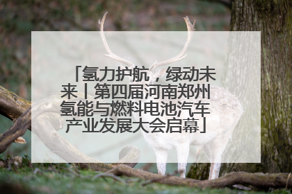 氢力护航，绿动未来丨第四届河南郑州氢能与燃料电池汽车产业发展大会启幕