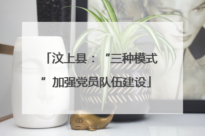 汶上县：“三种模式”加强党员队伍建设