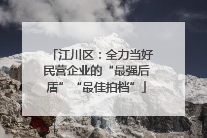 江川区：全力当好民营企业的“最强后盾”“最佳拍档”