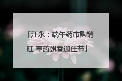 江永：端午药市购销旺 草药飘香迎佳节