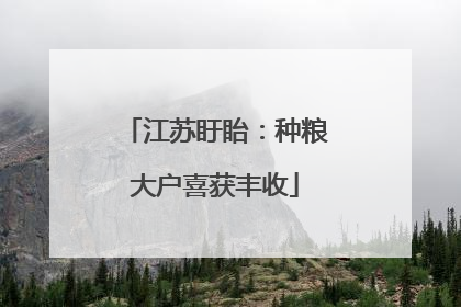 江苏盱眙：种粮大户喜获丰收