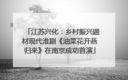 江苏兴化：乡村振兴题材现代淮剧《油菜花开燕归来》在南京成功首演