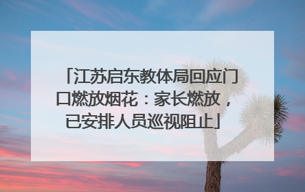 江苏启东教体局回应门口燃放烟花：家长燃放，已安排人员巡视阻止