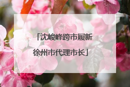 沈峻峰跨市履新徐州市代理市长