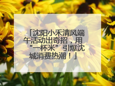 沈阳小禾清风端午活动出奇招，用“一杯米”引爆沈城消费热潮！