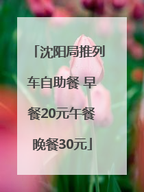 沈阳局推列车自助餐 早餐20元午餐晚餐30元