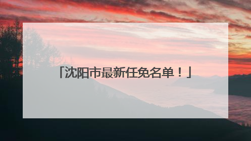沈阳市最新任免名单！