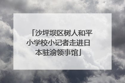 沙坪坝区树人和平小学校小记者走进日本驻渝领事馆