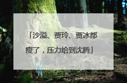 沙溢、贾玲、贾冰都瘦了，压力给到沈腾