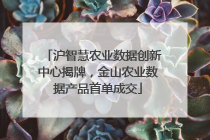 沪智慧农业数据创新中心揭牌，金山农业数据产品首单成交