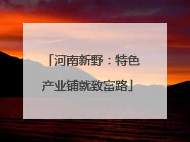 河南新野：特色产业铺就致富路