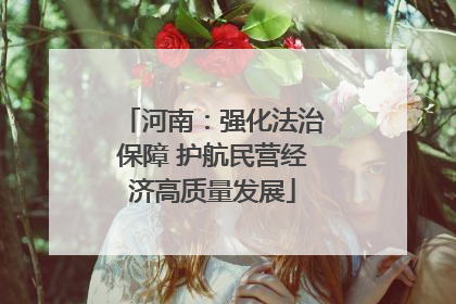 河南：强化法治保障 护航民营经济高质量发展