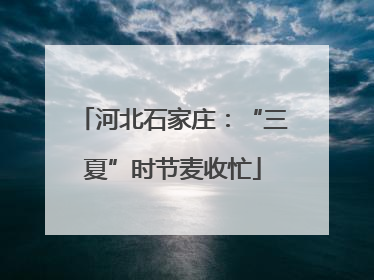 河北石家庄：“三夏”时节麦收忙
