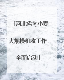 河北省冬小麦大规模机收工作全面启动