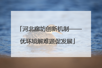 河北廊坊创新机制——优环境解难题促发展