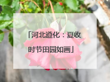 河北遵化：夏收时节田园如画