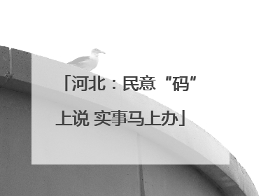 河北：民意“码”上说 实事马上办