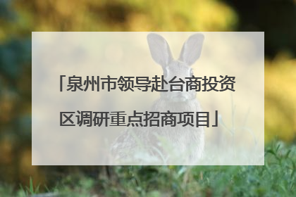 泉州市领导赴台商投资区调研重点招商项目
