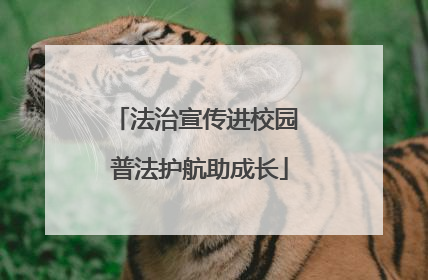 法治宣传进校园 普法护航助成长