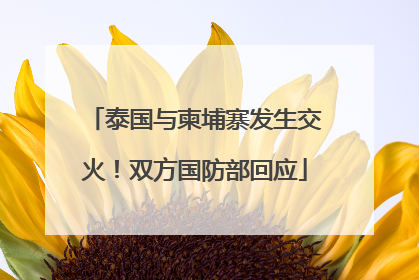 泰国与柬埔寨发生交火！双方国防部回应