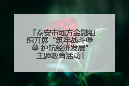 泰安市地方金融组织开展“筑牢战斗堡垒 护航经济发展”主题教育活动
