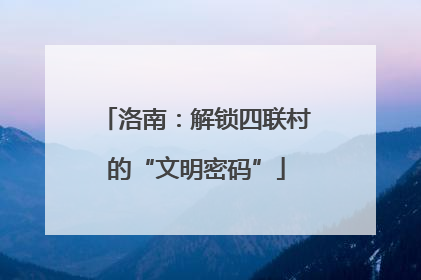 洛南：解锁四联村的“文明密码”