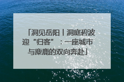 洞见岳阳丨洞庭碧波迎“归客”：一座城市与麋鹿的双向奔赴