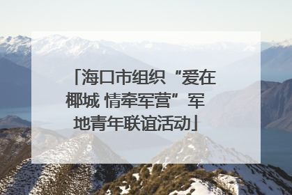 海口市组织“爱在椰城 情牵军营”军地青年联谊活动
