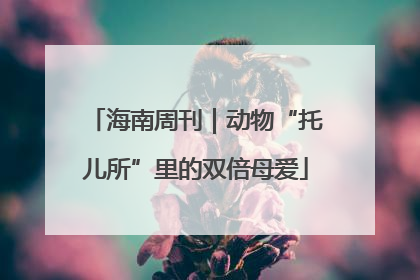 海南周刊｜动物“托儿所”里的双倍母爱