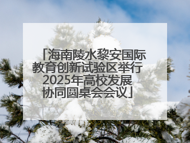海南陵水黎安国际教育创新试验区举行2025年高校发展协同圆桌会会议